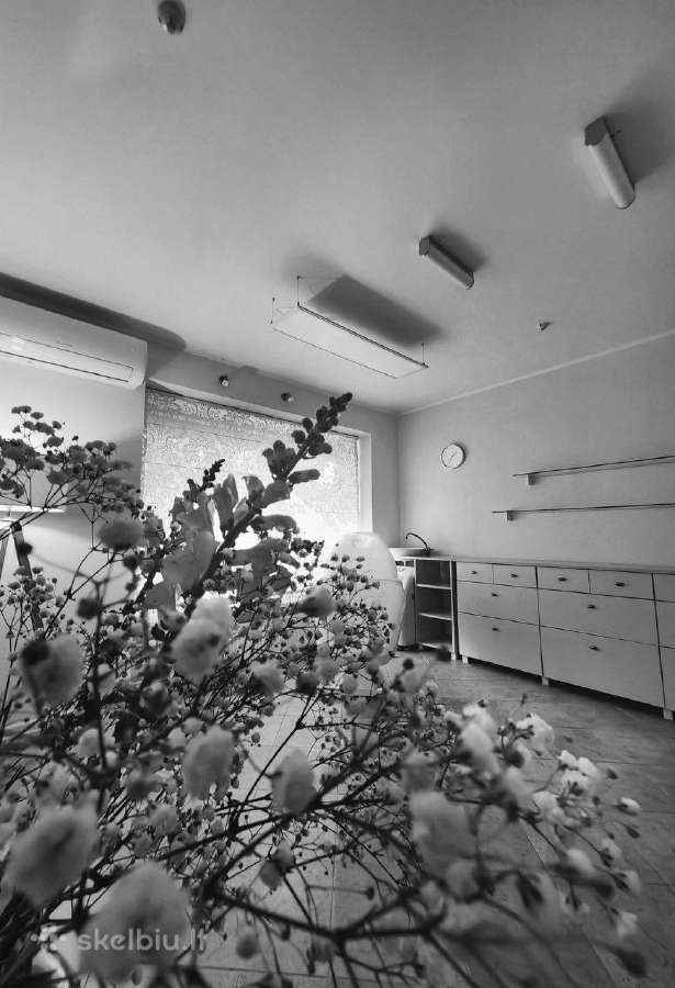 Įrengtos komercinės patalpos Klaipėdos centre - nuotraukos Nr. 8