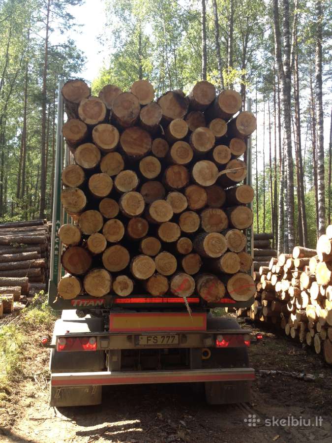 Reikalingas pakaitinis miškavežio vairuotojas - nuotraukos Nr. 2