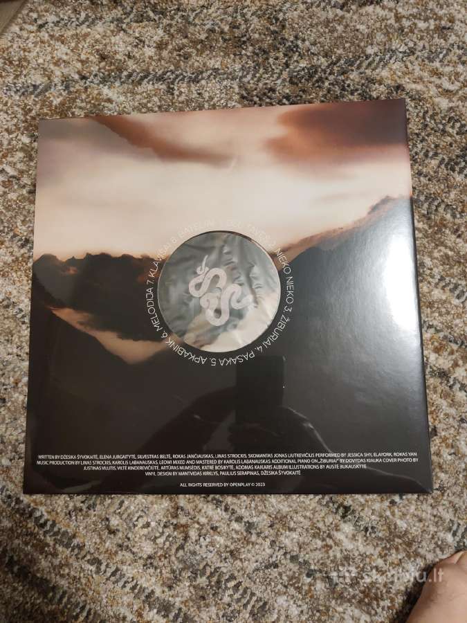 Jessica shy pasaka vinyl lp - nuotraukos Nr. 2
