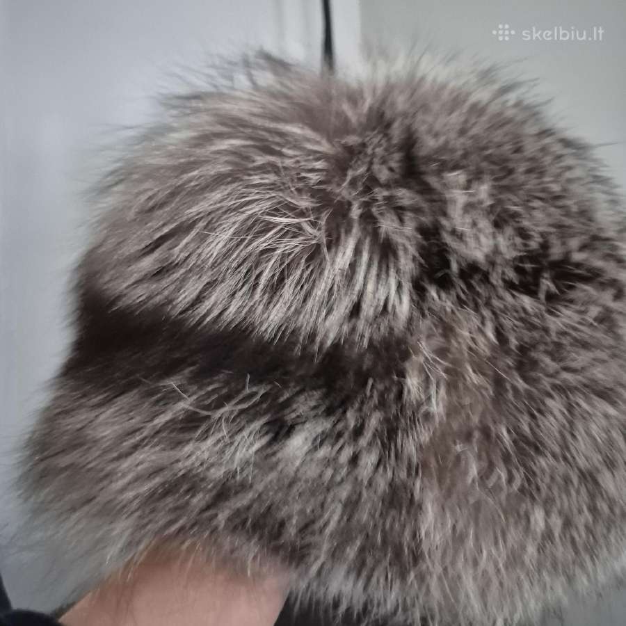 Sidabrinės lapės kepurė - nuotraukos Nr. 4