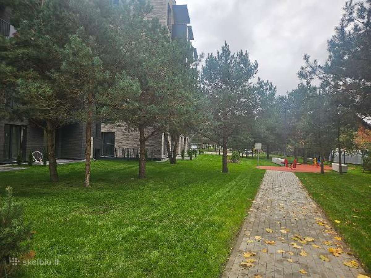 3k. butas pušų apsuptyje - nuotraukos Nr. 10