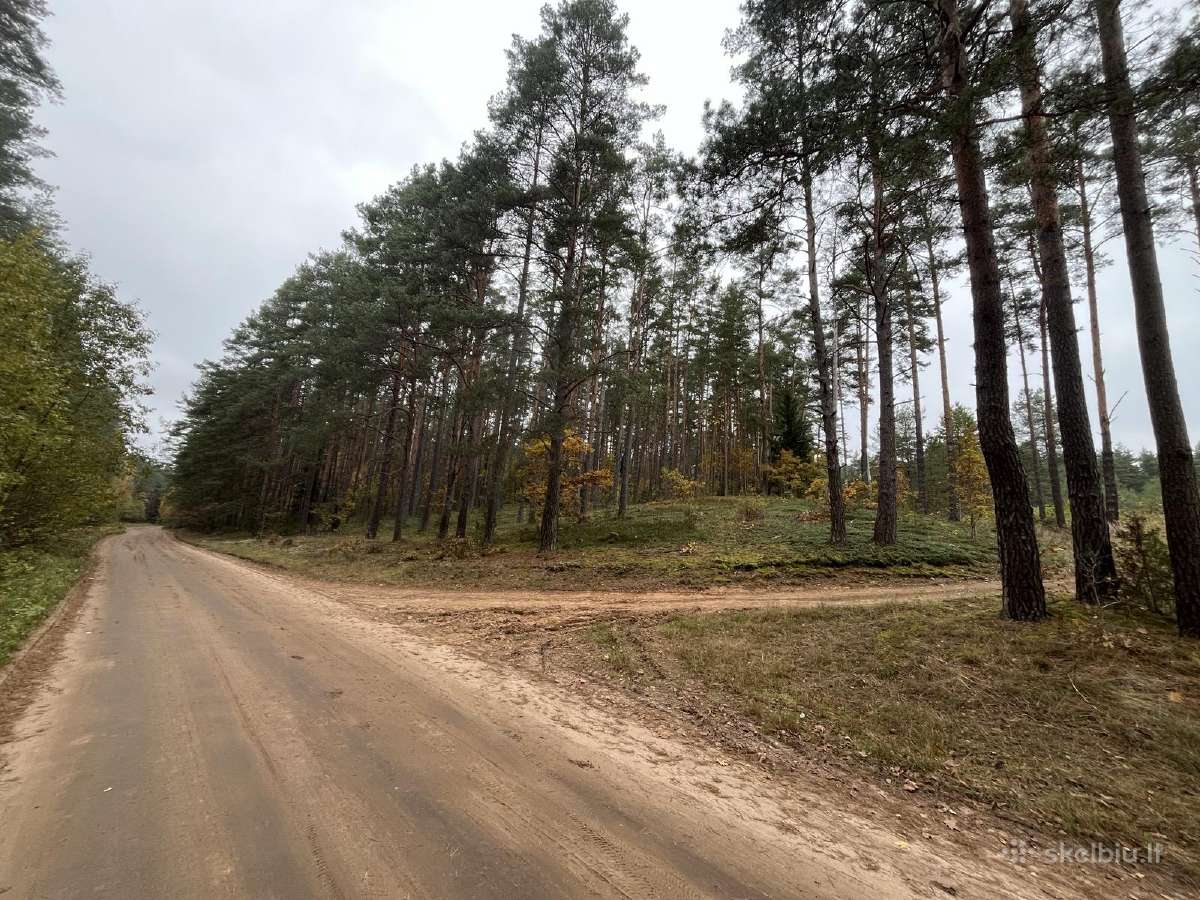 Namų valda prie Nemenčinės - nuotraukos Nr. 5