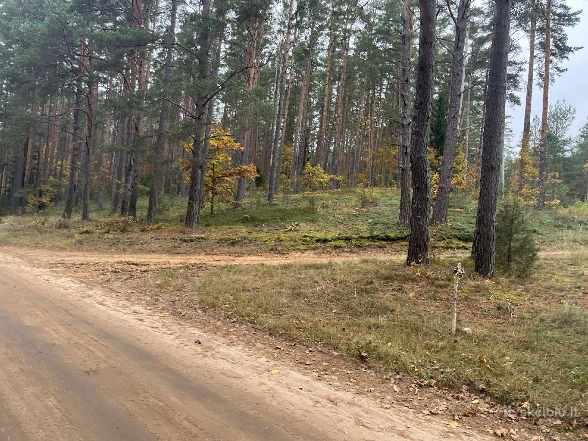 Namų valda prie Nemenčinės - nuotraukos Nr. 6