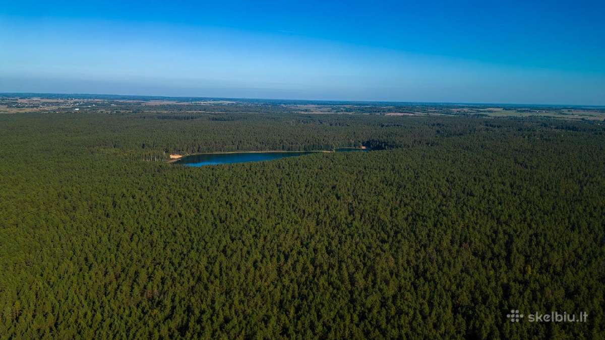 Namų valda prie Nemenčinės - nuotraukos Nr. 7