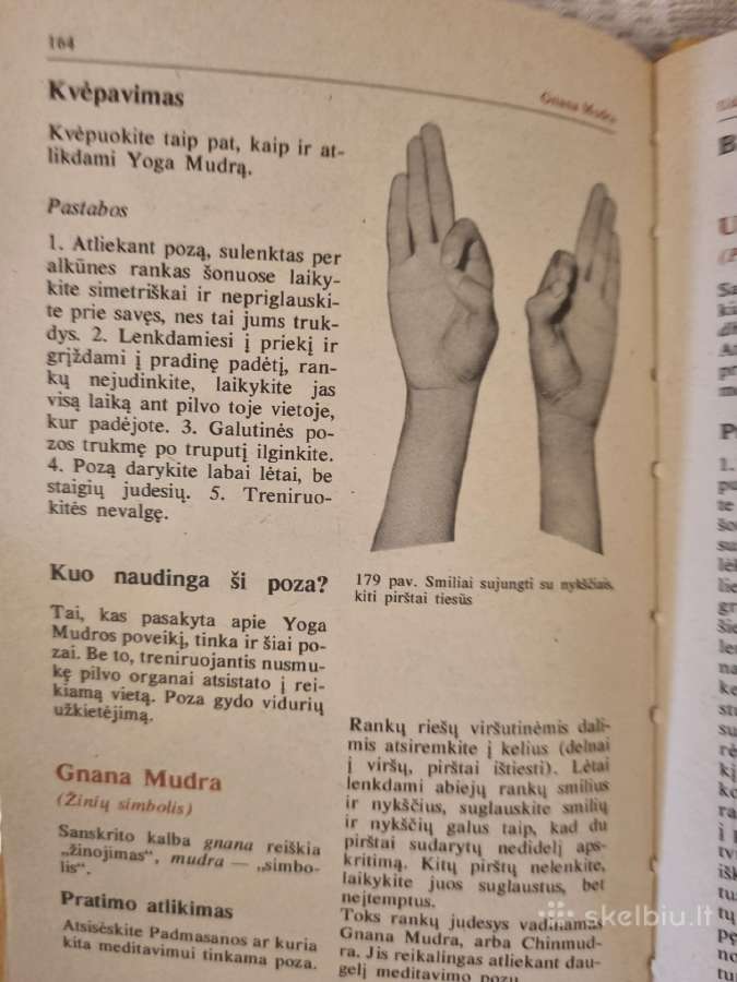 Jogos sistemos pradmenys - nuotraukos Nr. 5