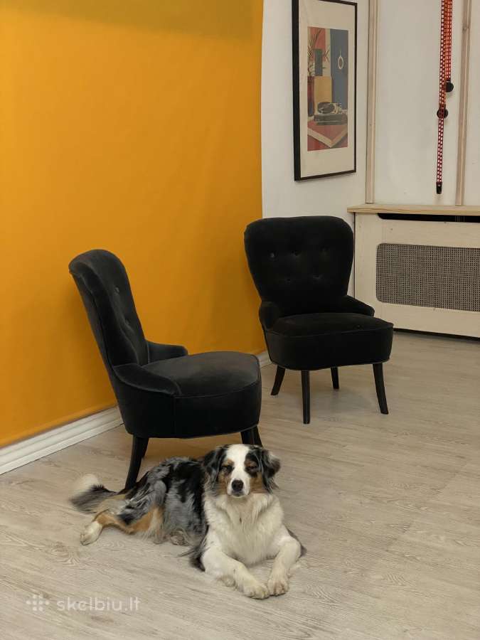 Ikea fotelis 2vnt - nuotraukos Nr. 4
