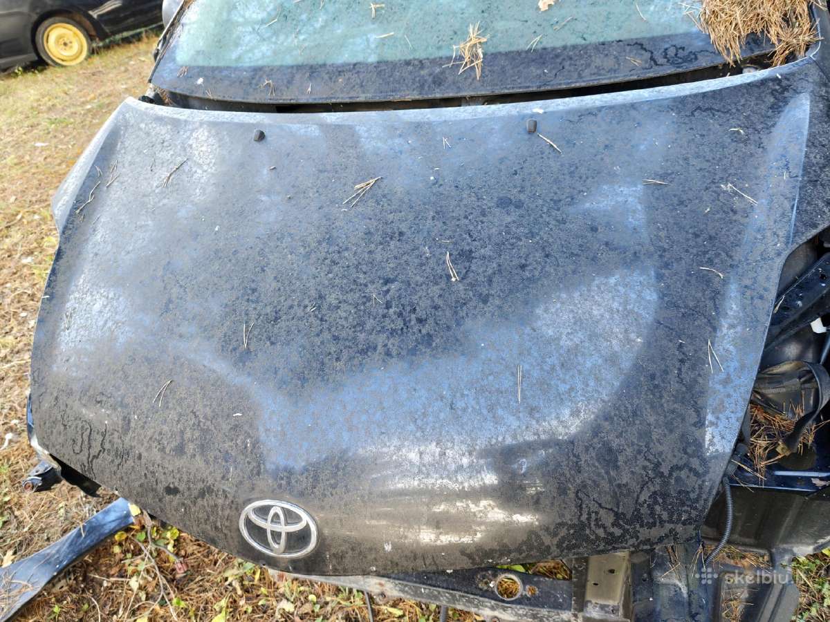 Prius2 durys - nuotraukos Nr. 3