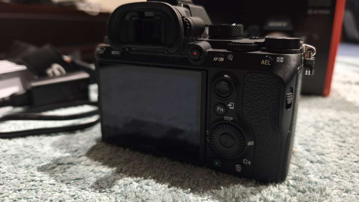 Sony a7 III - nuotraukos Nr. 7
