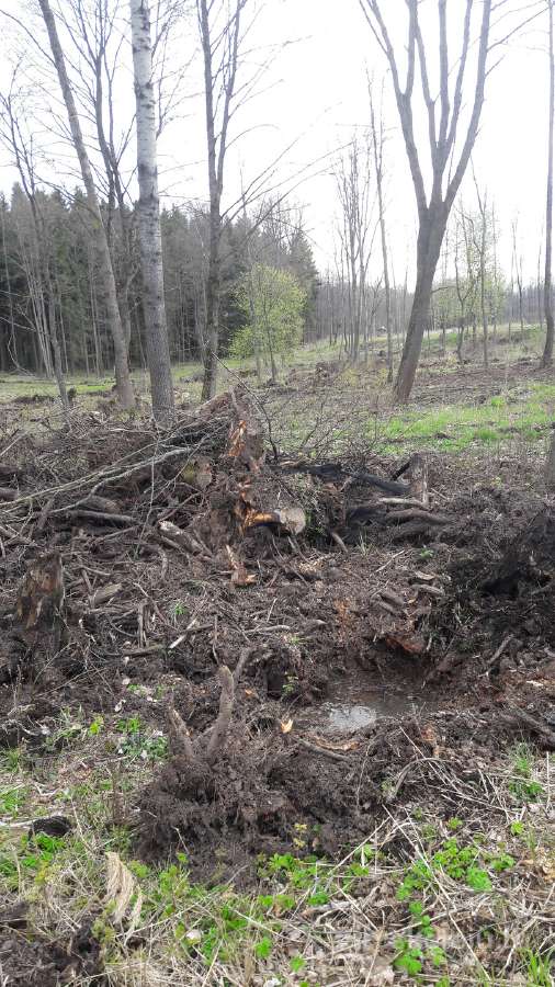 Tvenkinių kasimas,vikšrinio ekskavatoriaus nuoma - nuotraukos Nr. 6