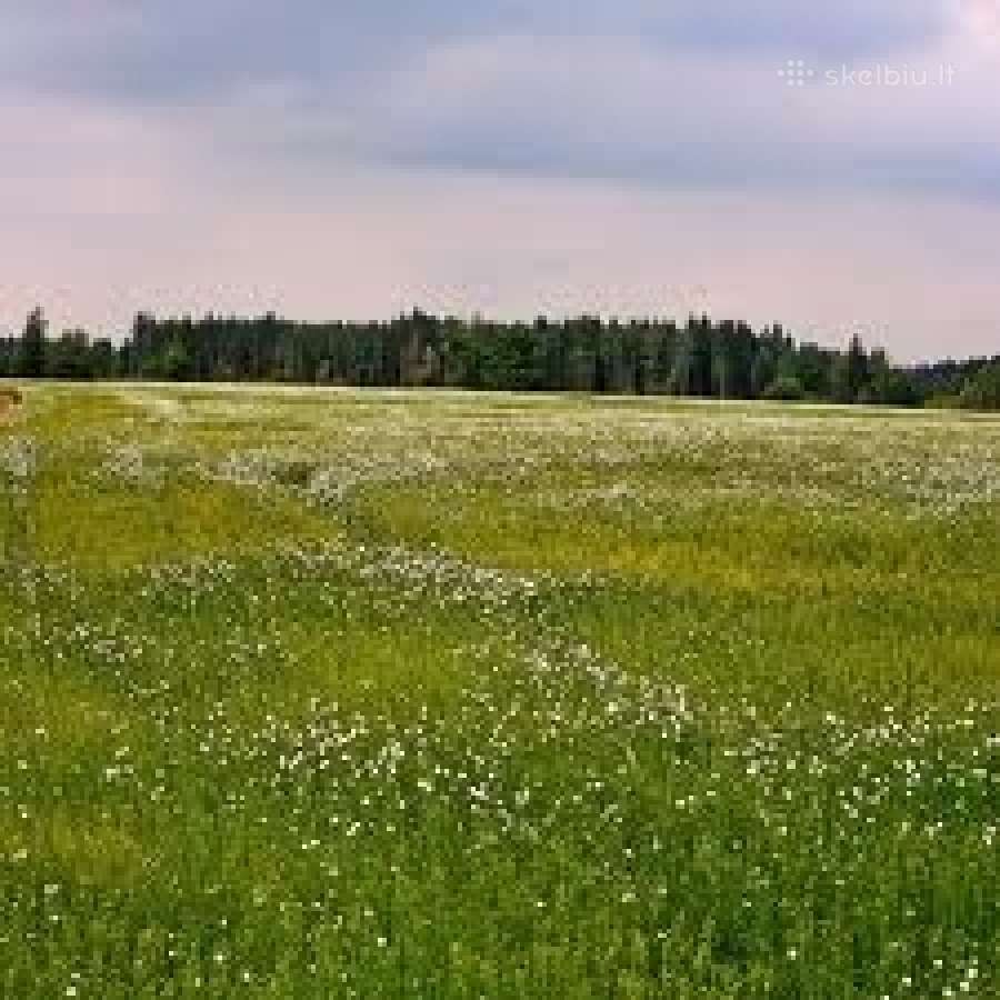 Išsinuomoju žemę, perku žemę.