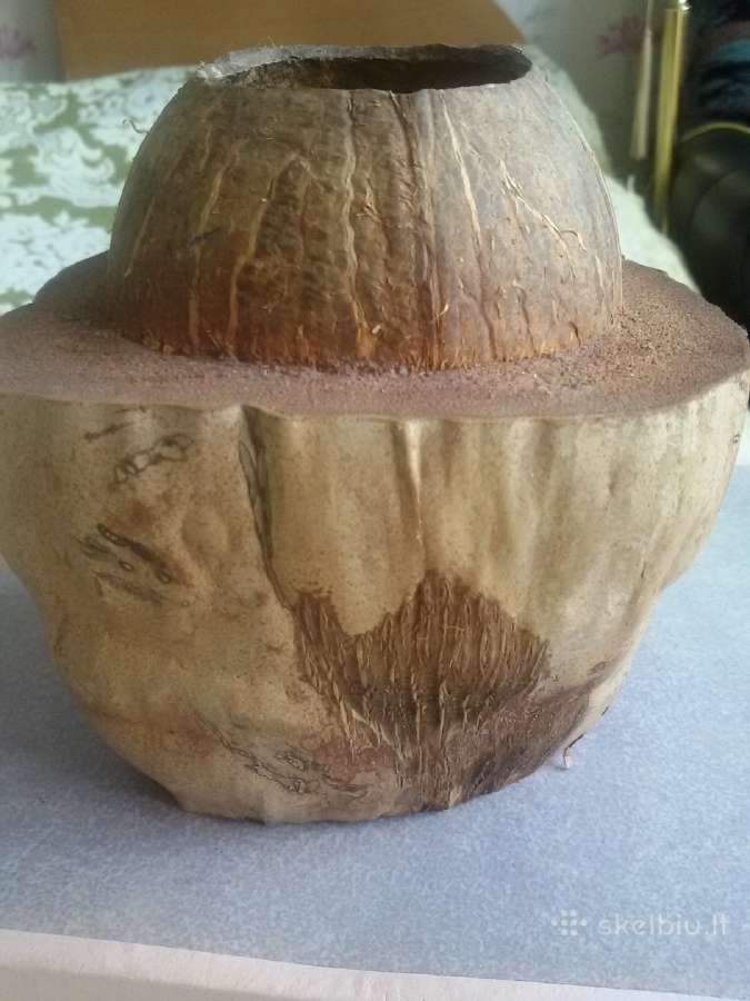 Iš tikro kokoso pieštukinė, peleninė,rankų darbo - nuotraukos Nr. 3