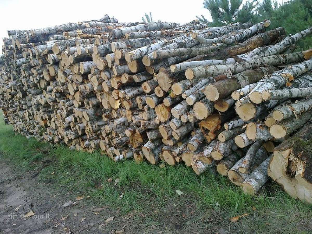 Malkos rąsteliais po 3 metrus, eglės rąstai po 6m - nuotraukos Nr. 6