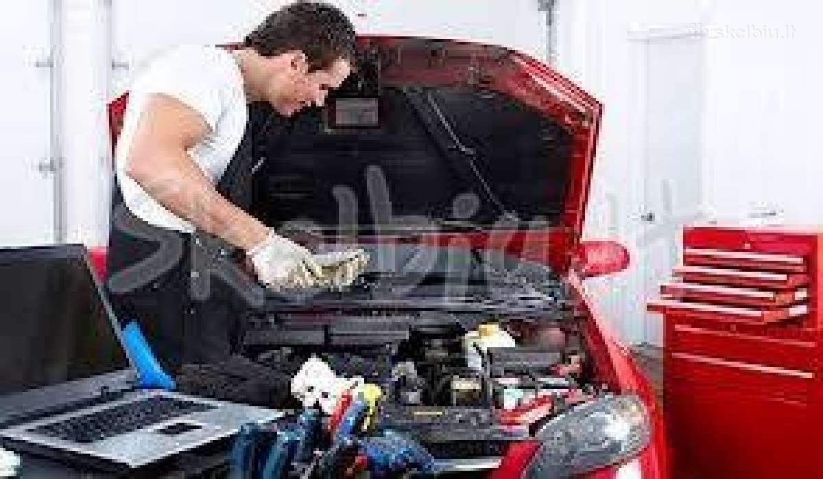Autoelektrikas justiniskese