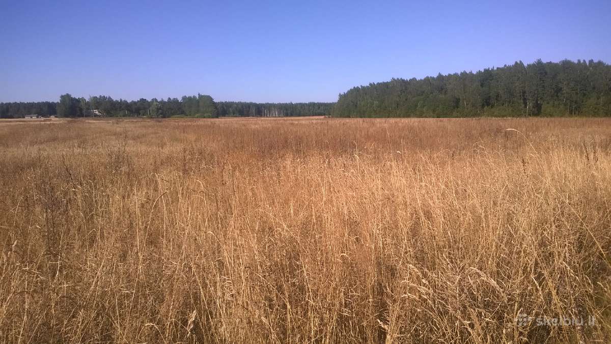 Namų valdos sklypai šalia Panevėžio miesto. - nuotraukos Nr. 9