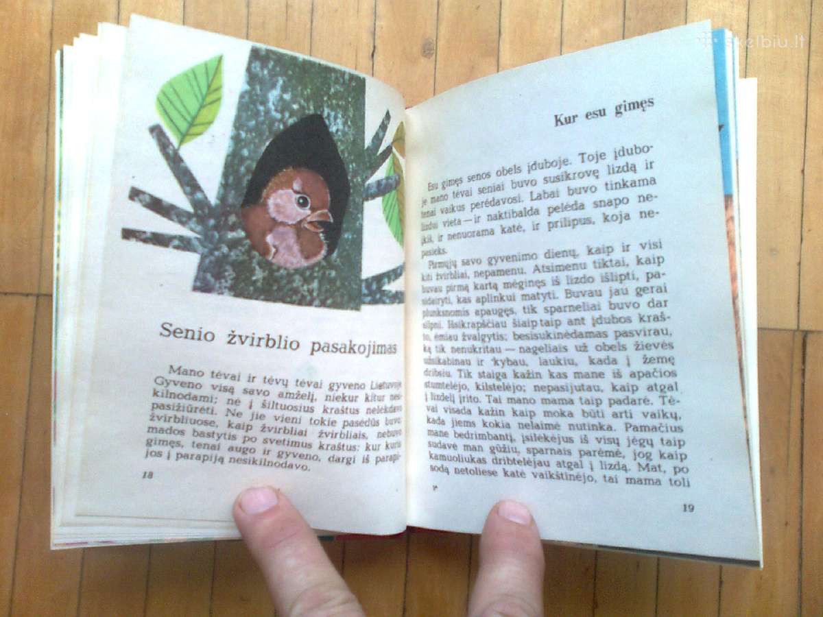 Pranas Masiotas " Sparnuociai" 1972 metai - nuotraukos Nr. 5