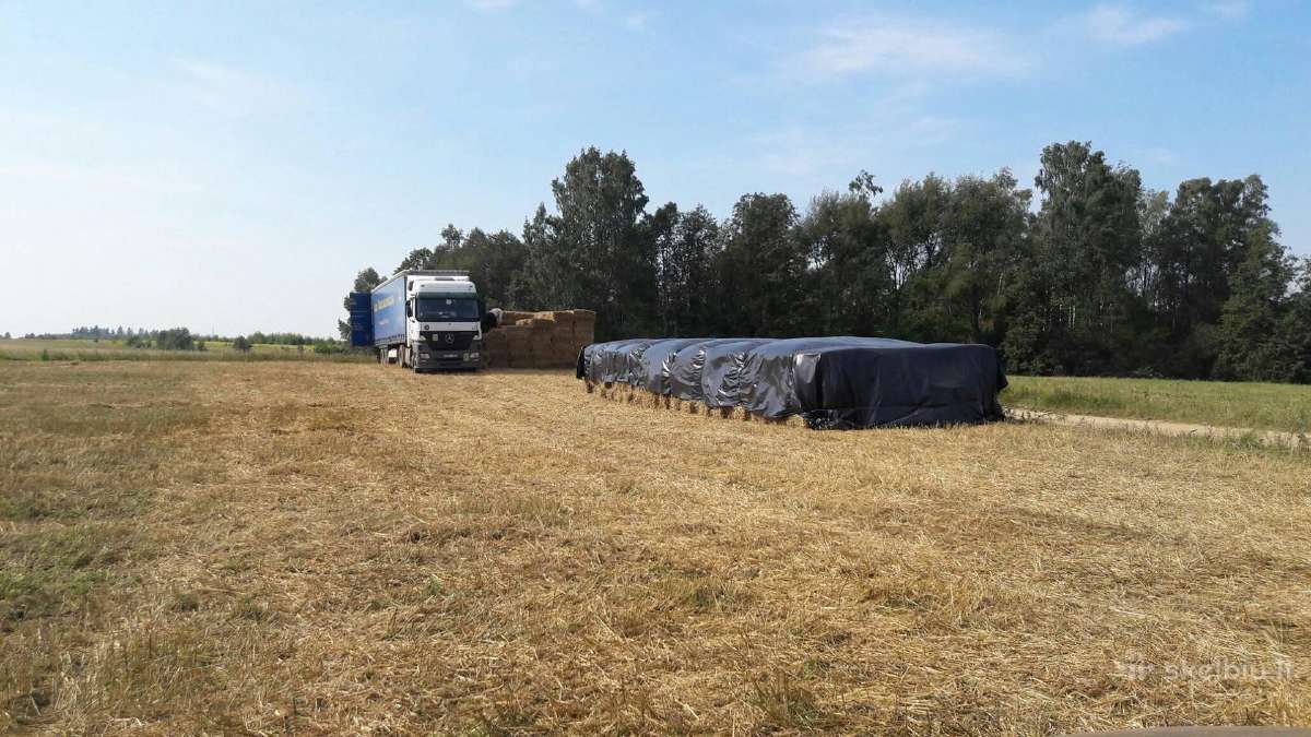 Šiaudų kitkos, Parduodam ir po 1vnt. Iš rugių - nuotraukos Nr. 4