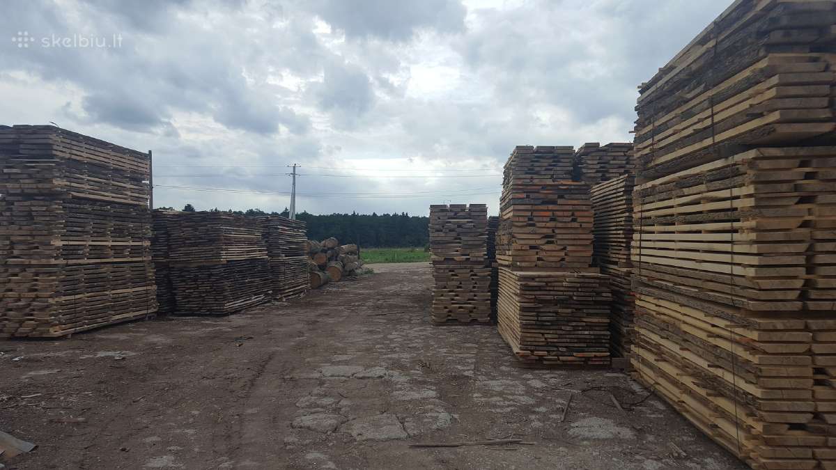 Uosio storlentės (dilės, blankės)