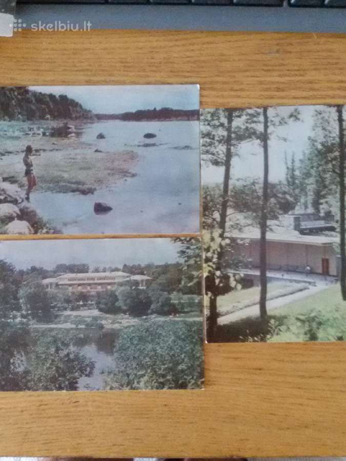 Druskinikai Biuveto vitražai 1969 m. Mintis