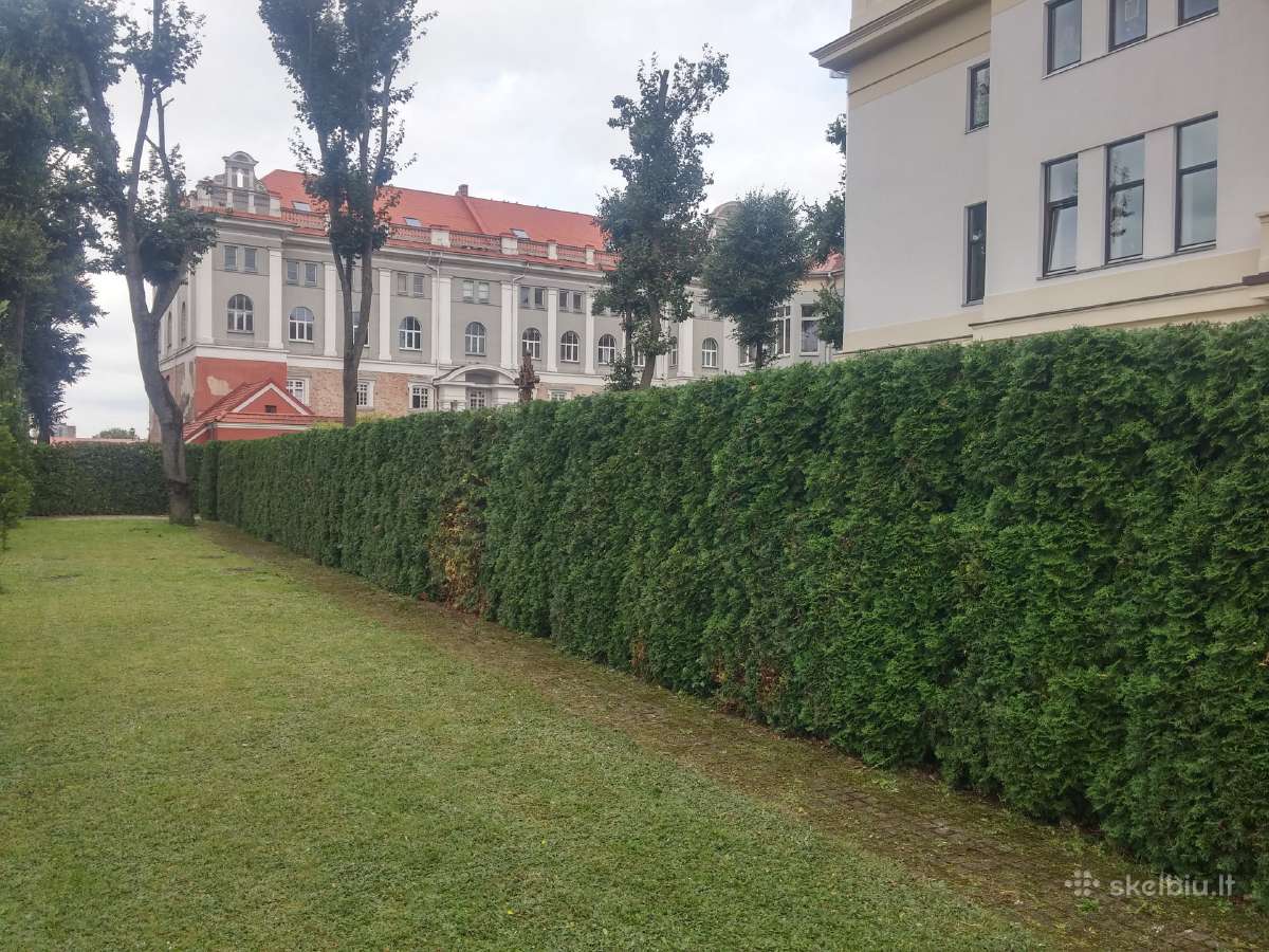 Gyvatvorių karpymas ir koregavimas - nuotraukos Nr. 8