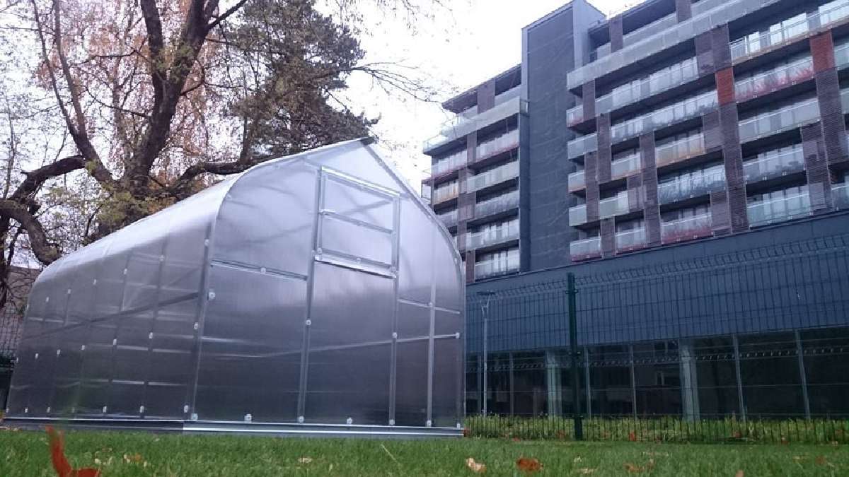 Lietuviškas šiltnamis Standart Klasika - nuotraukos Nr. 2