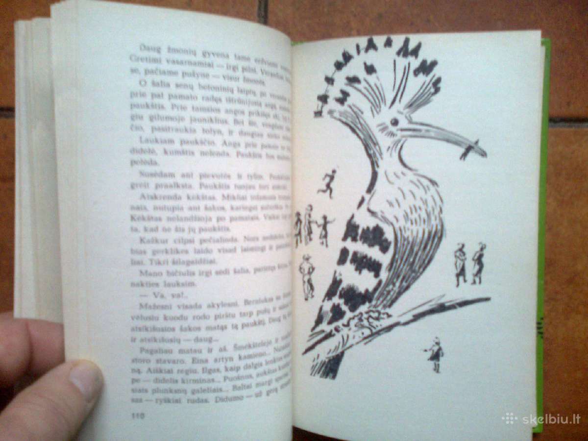 Rimantas Budrys "Kiekvienas turi savo taka" 1979m. - nuotraukos Nr. 7