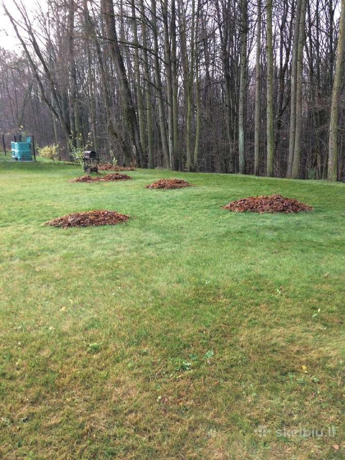 Gyvatvorių kirpimas, sodų purškimas - nuotraukos Nr. 24