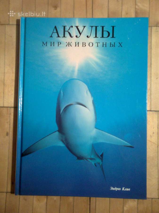 Эндрю Клив " Aкулы" 1995 г.
