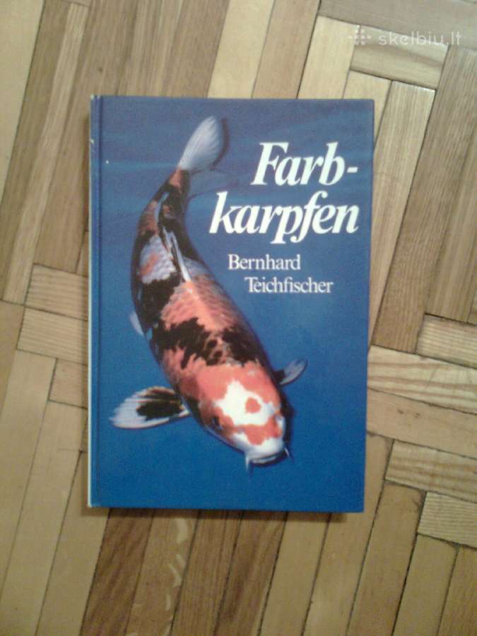 Bernhard Teichfischer "farb-karpfen" 1988