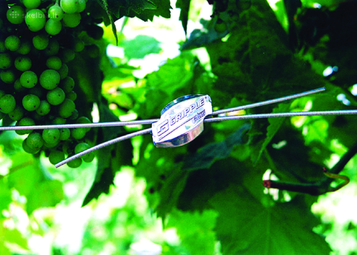 Gripple *Barbed Wire - Gripple Spygliuotai vielai - nuotraukos Nr. 11