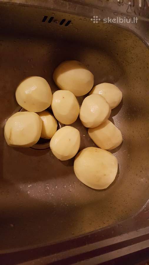 Bulvės maistinės pašarinės - nuotraukos Nr. 14