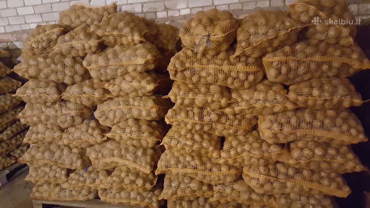 Bulvės maistinės pašarinės - nuotraukos Nr. 9
