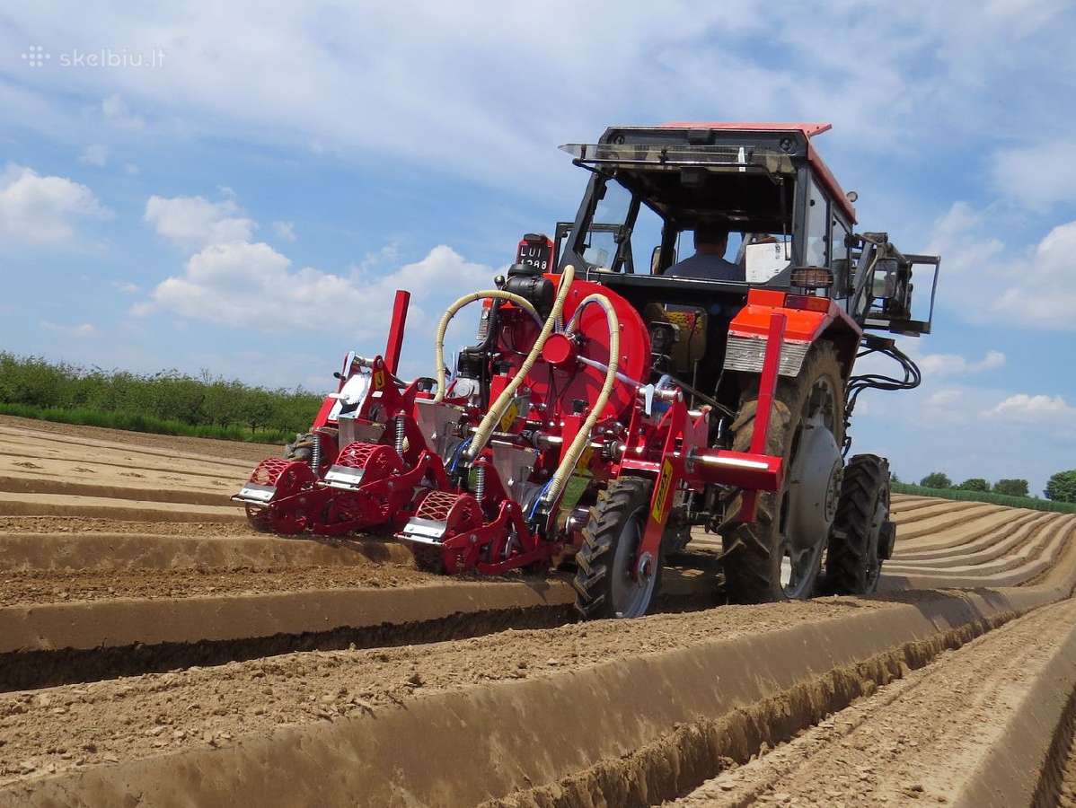 Bulvių,svogūnų,morkų sandeliavimo techniką ir kt. - nuotraukos Nr. 11