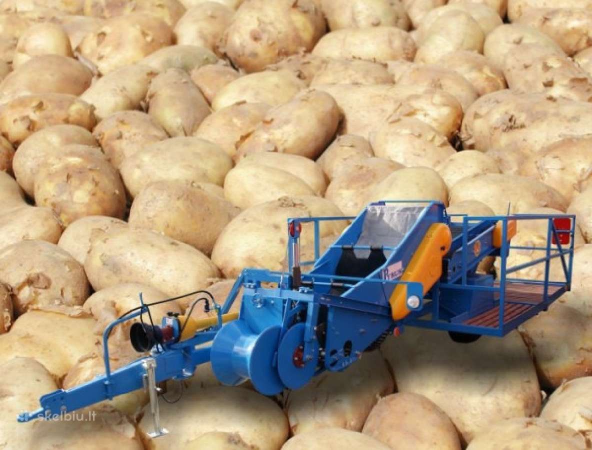Bulvių,svogūnų,morkų sandeliavimo techniką ir kt. - nuotraukos Nr. 14