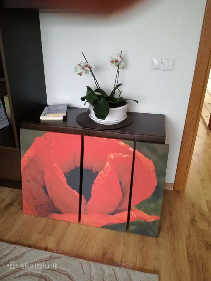 Paveikslas iš 3 dalių Aguona