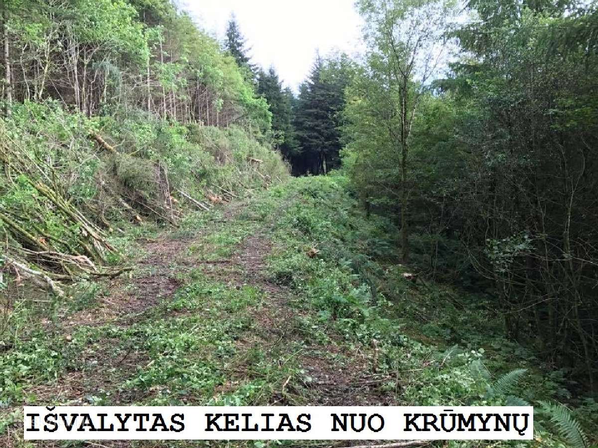 Valome apleistas pievas nuo krūmų Nemokamai | Skelbiu.lt Valome apleistas pievas nuo krūmų Nemokamai