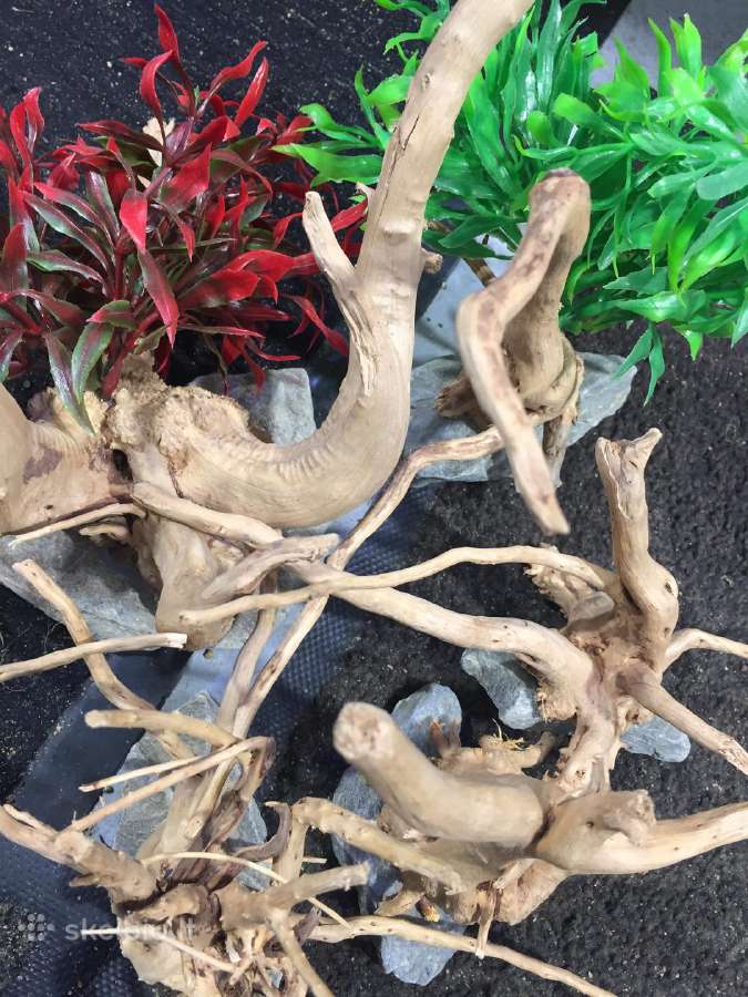 Akvariumai, maistas, iranga - nuotraukos Nr. 11