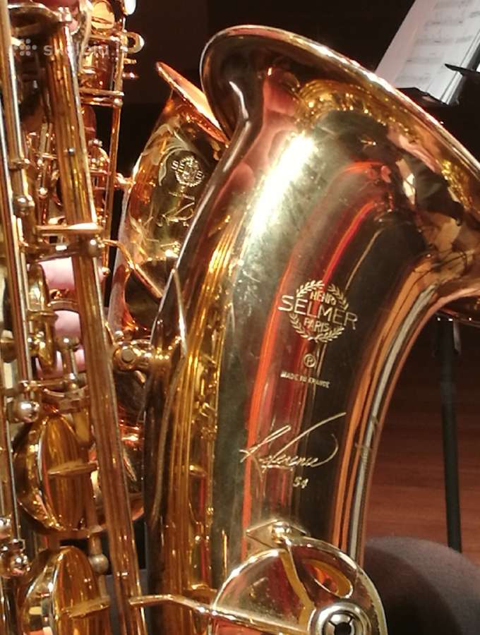Selmer,yamaha,yanagisawa,pustukai visiem saxofonam