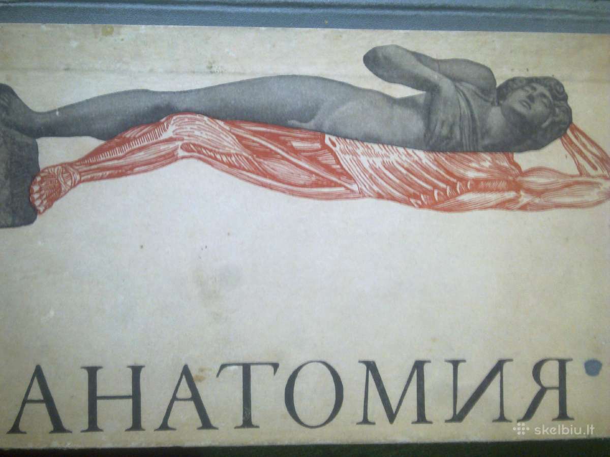 Anatomijos atlasas | Skelbiu.lt Anatomijos atlasas