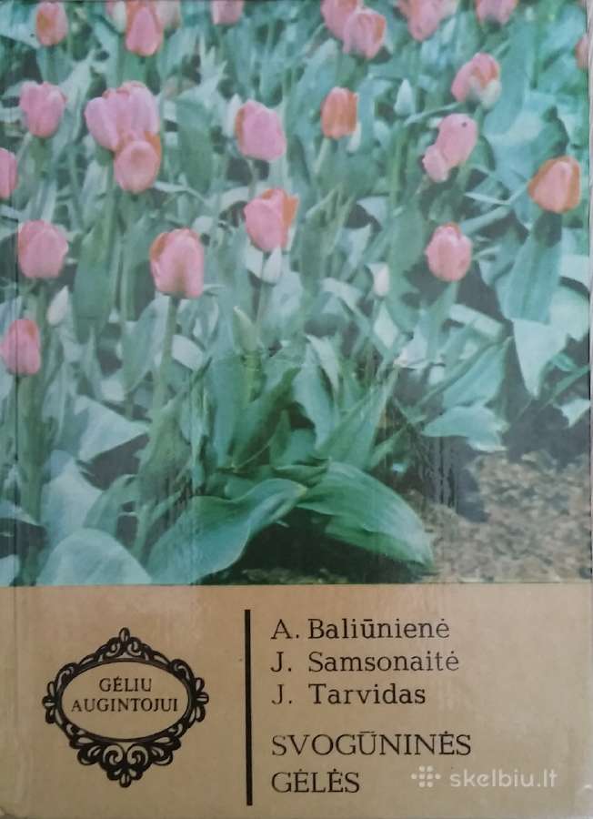 Flora - nuotraukos Nr. 2