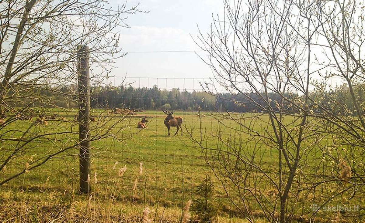 Tinklas , segmentinė tvora, Tornado tinklas - nuotraukos Nr. 2