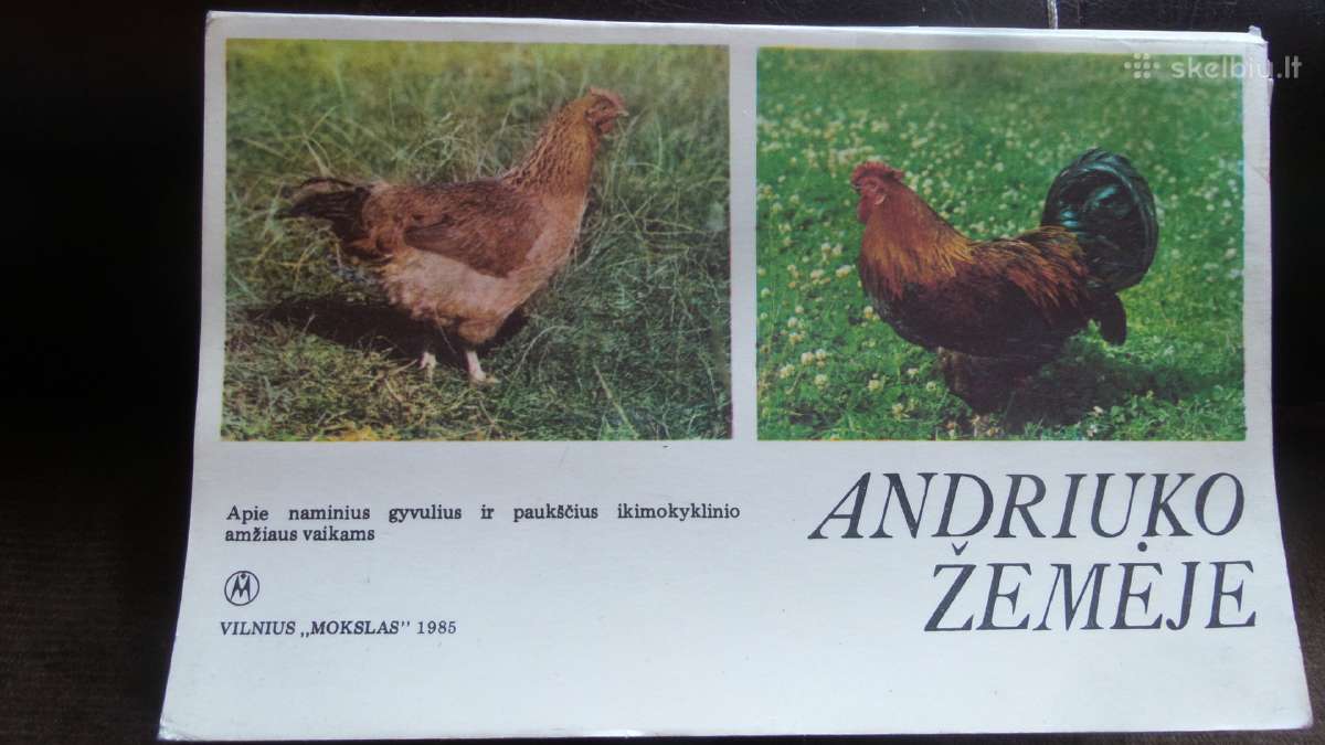 Senos stampuotos atvirutes - nuotraukos Nr. 9