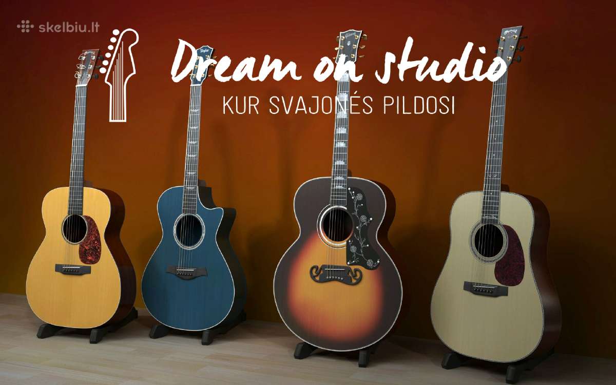 Individualios gitaros pamokos - nuotraukos Nr. 6