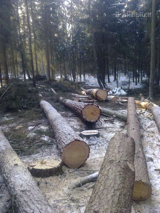 Tvarkome apleistus laukus,zemes.mokame nuo 500eu/h - nuotraukos Nr. 11
