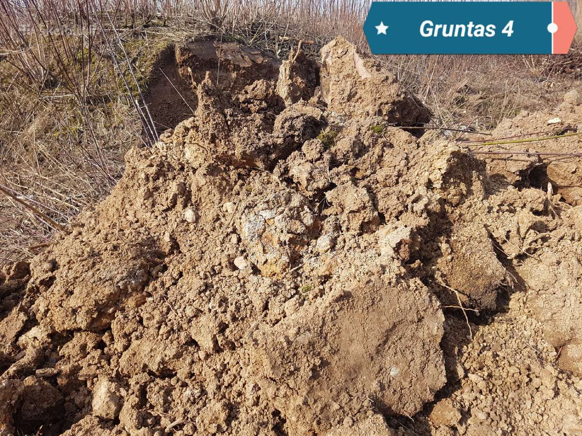 Juodzemis zeme gruntas kompostas - nuotraukos Nr. 4