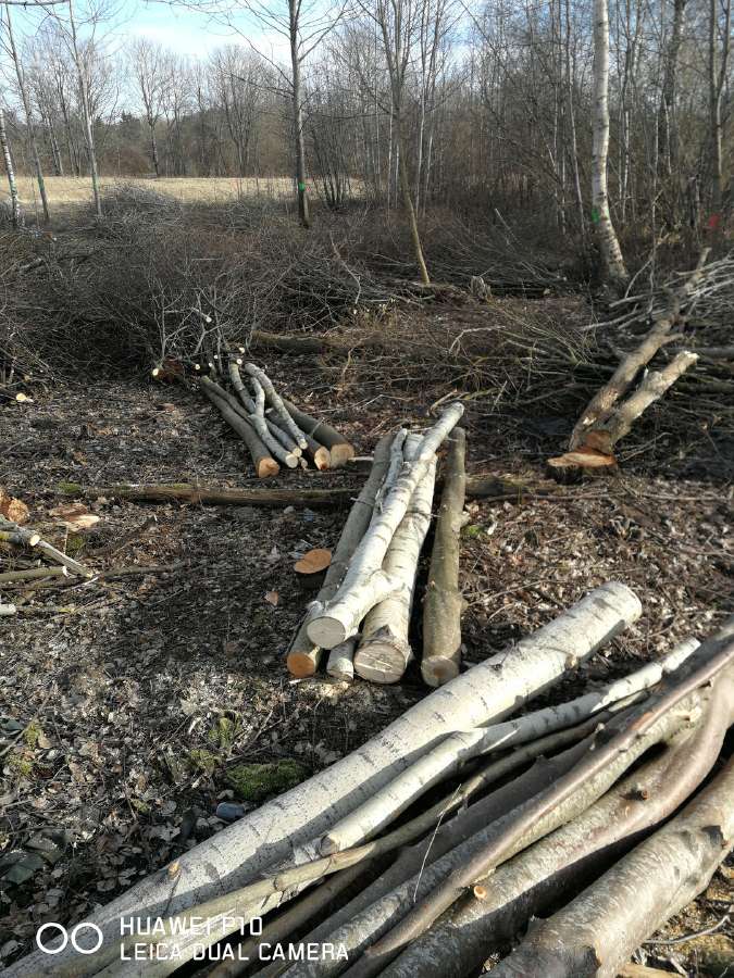 Medžių pjovimas,genėjimas,apleistų sklypų, šakų - nuotraukos Nr. 6