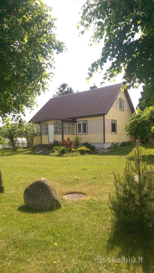 Mediniu namų, stogų ir fasadų dažymas. - nuotraukos Nr. 9
