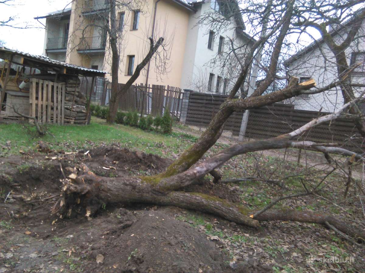 Sklypu Tvarkymas, šakų Išvž.medžiu pjovimas 24/7 - nuotraukos Nr. 25