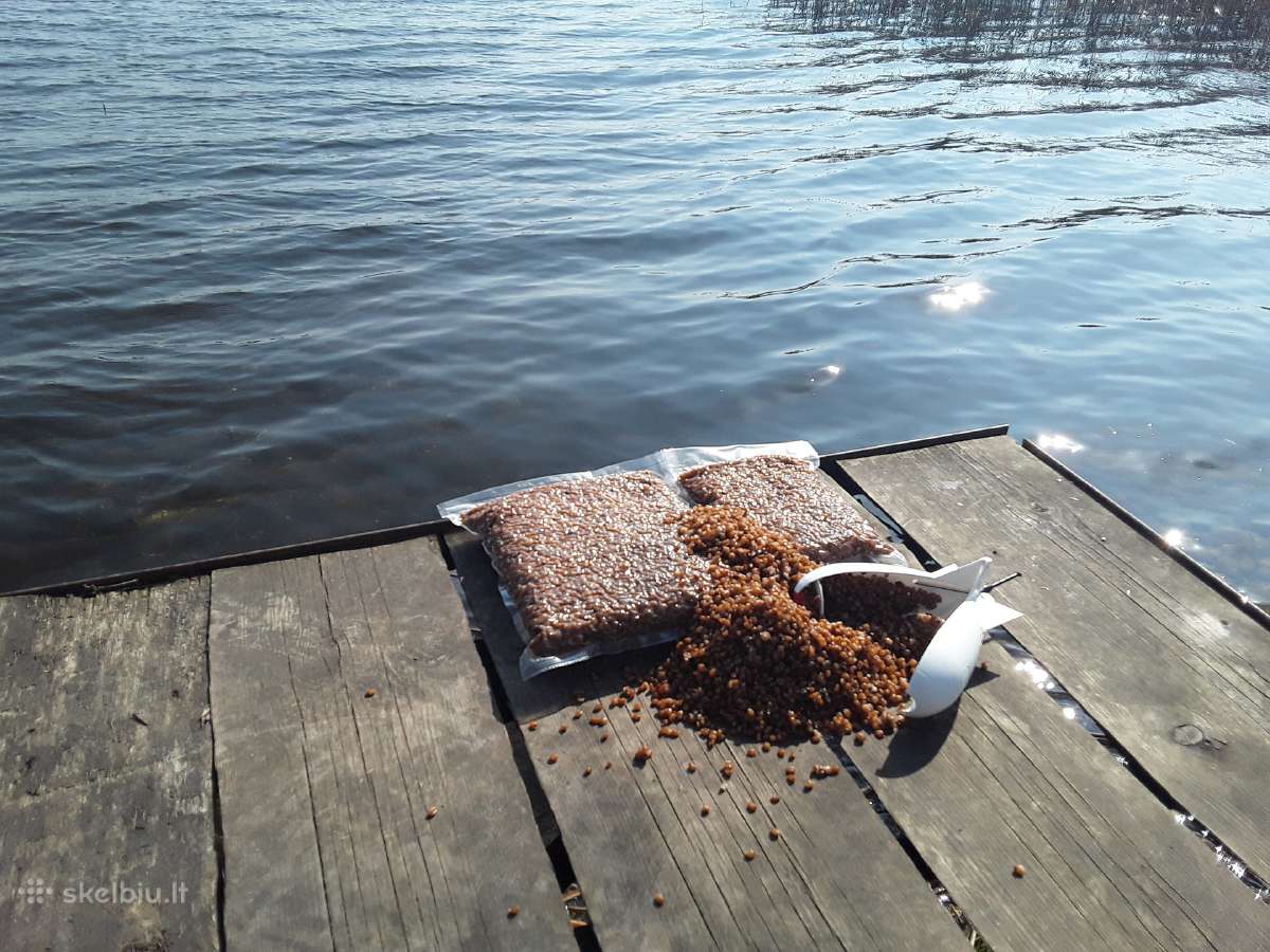 Šutinti kviečiai vakuuminėje pakuotėje - nuotraukos Nr. 2