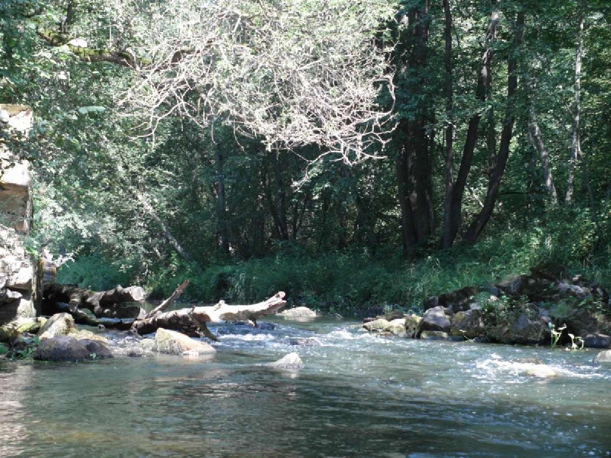 Aukštaitijos baidarės - nuotraukos Nr. 3