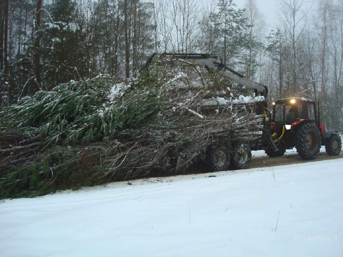 Apleistu sklypu tvarkymas, nemok. kertame krūmus